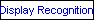 Display Recognition
